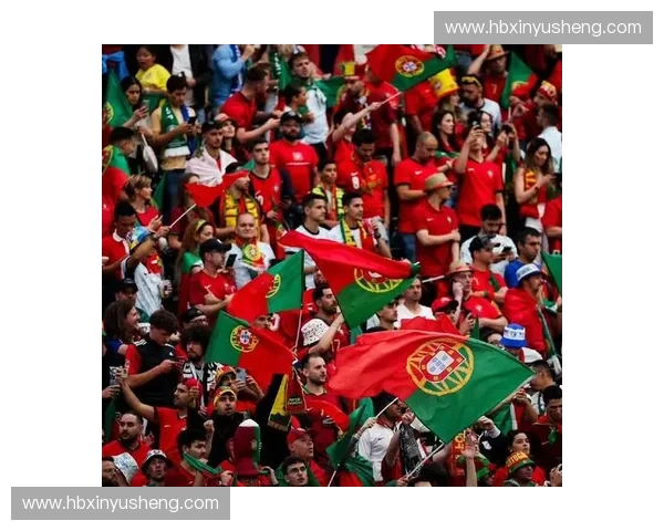 2006年世界杯葡萄牙队表现回顾：罗纳尔多领衔的拼搏与遗憾之旅